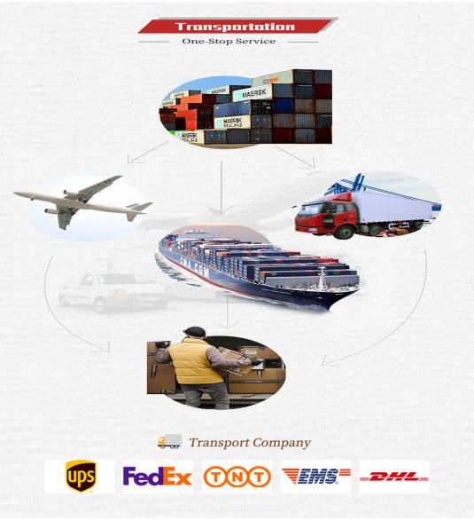 Transportation Transportation